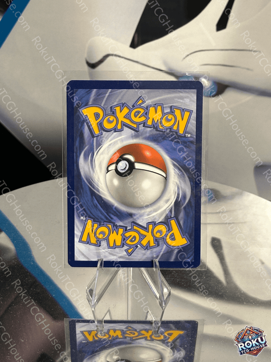 Feraligatr - SV: Promo - Pokemon Card (NM)