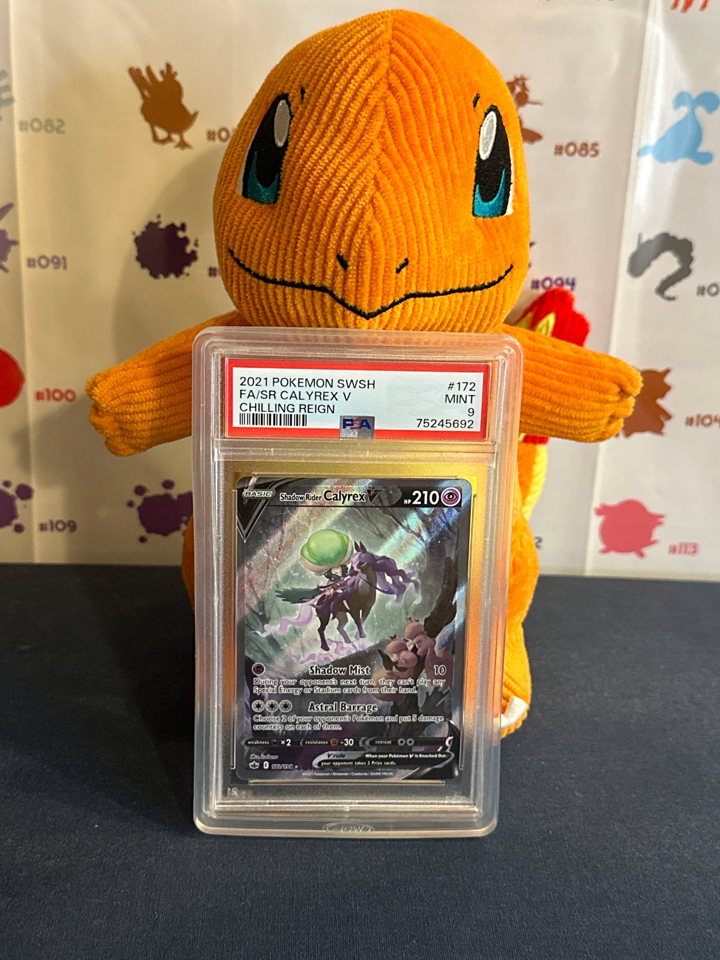 Pokemon Graded Card Slab Protector