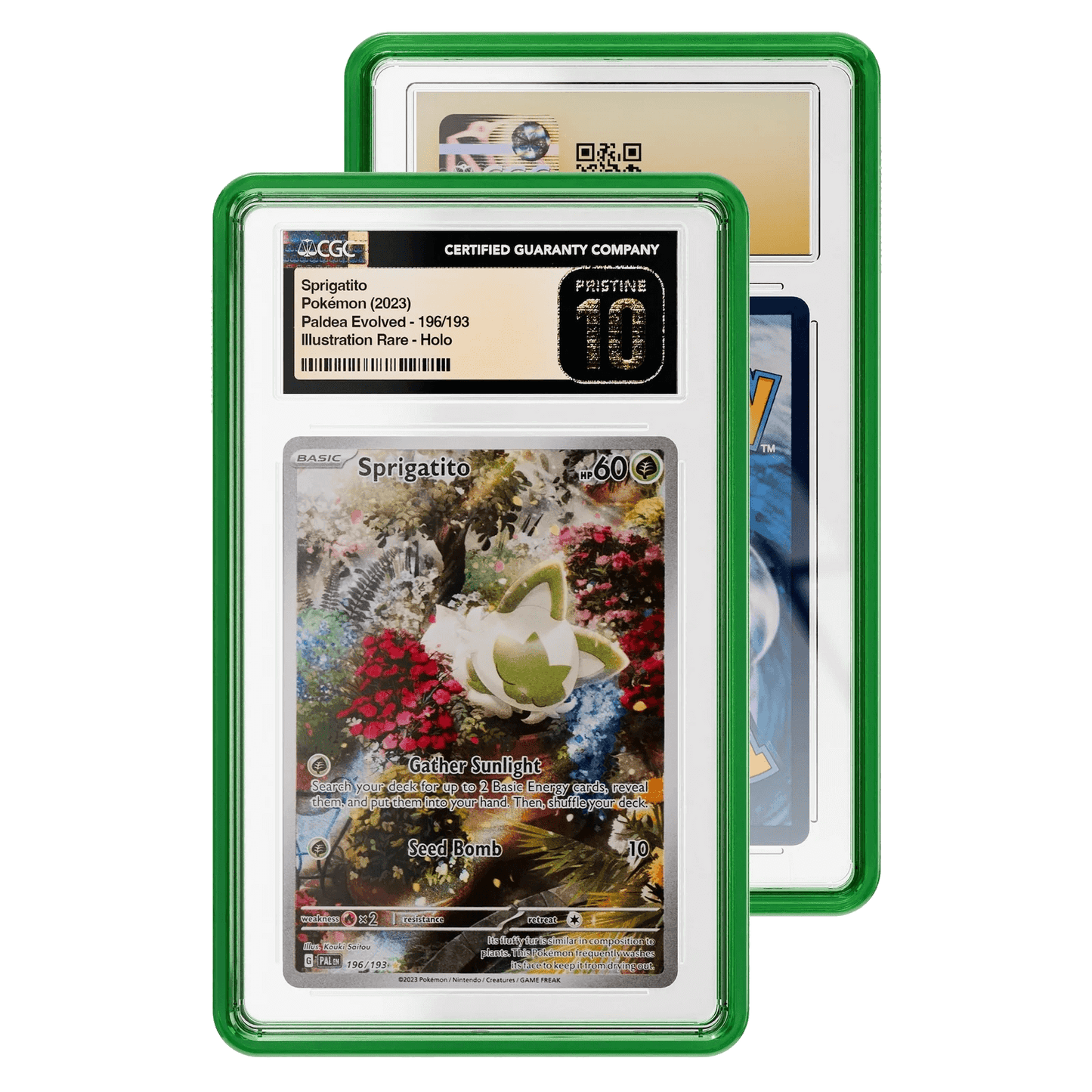 Jewel Graded Guard Case (CGC)