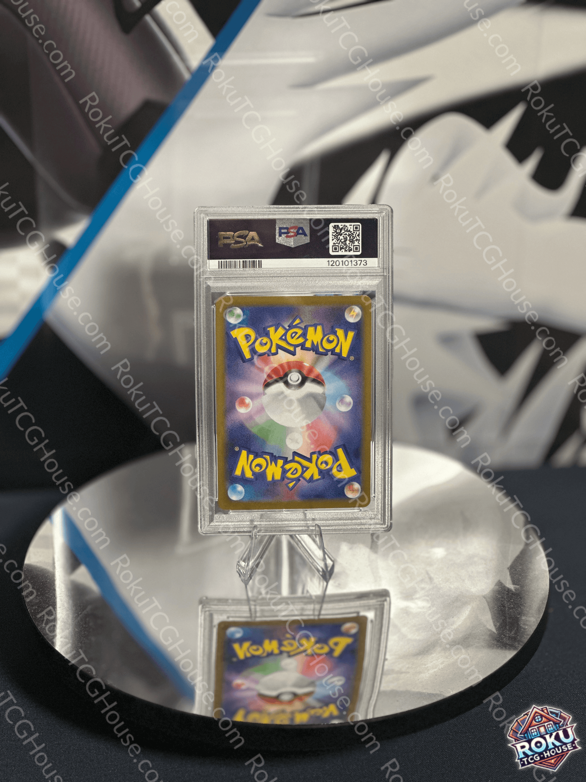 Back of Zamazenta Glory of Team Rocket Japanese Pokémon card in PSA slab showing standard Pokémon card back