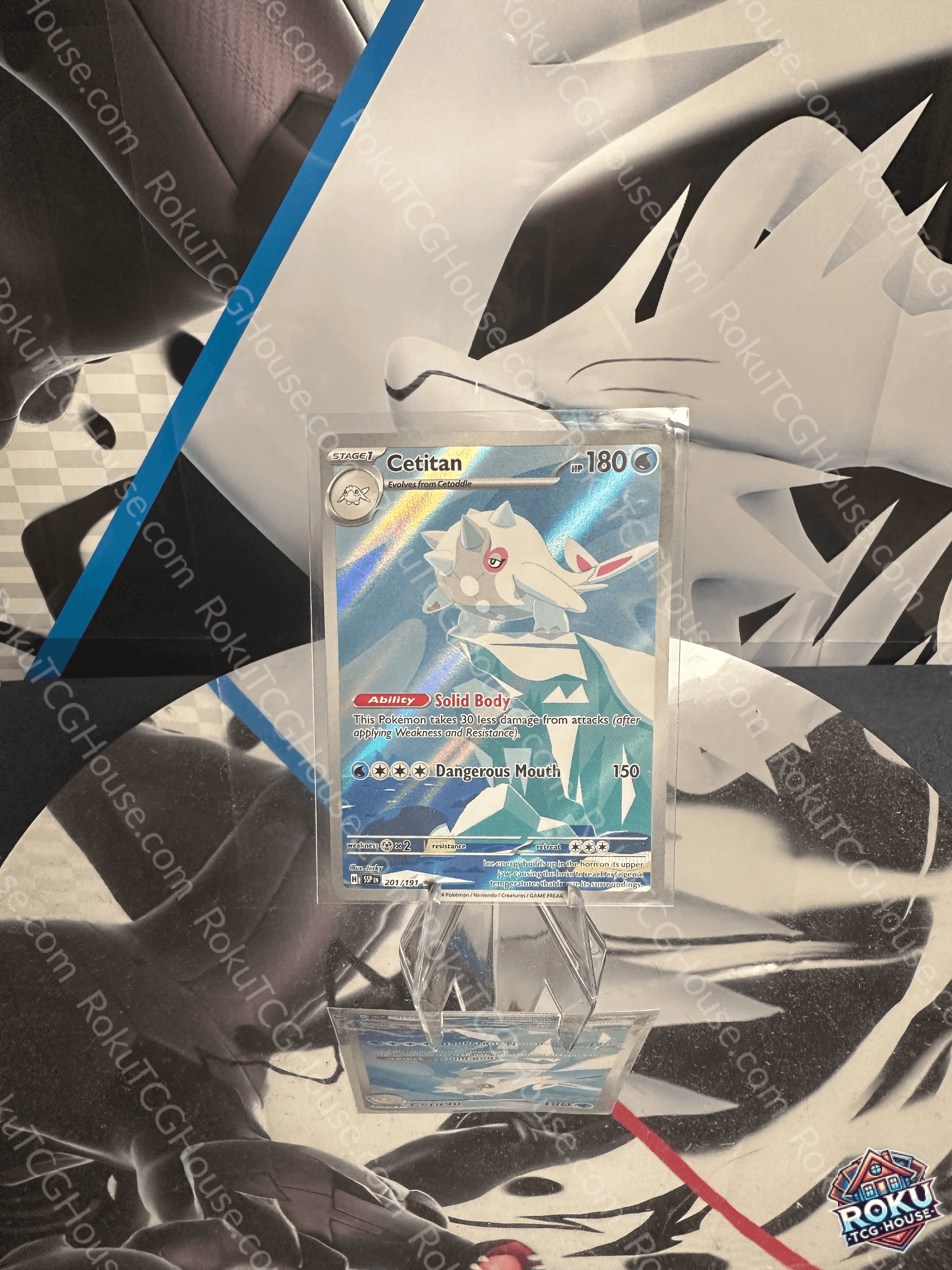 Cetitan Surging Sparks Pokemon card displayed in NM condition, featuring vibrant artwork and stats.