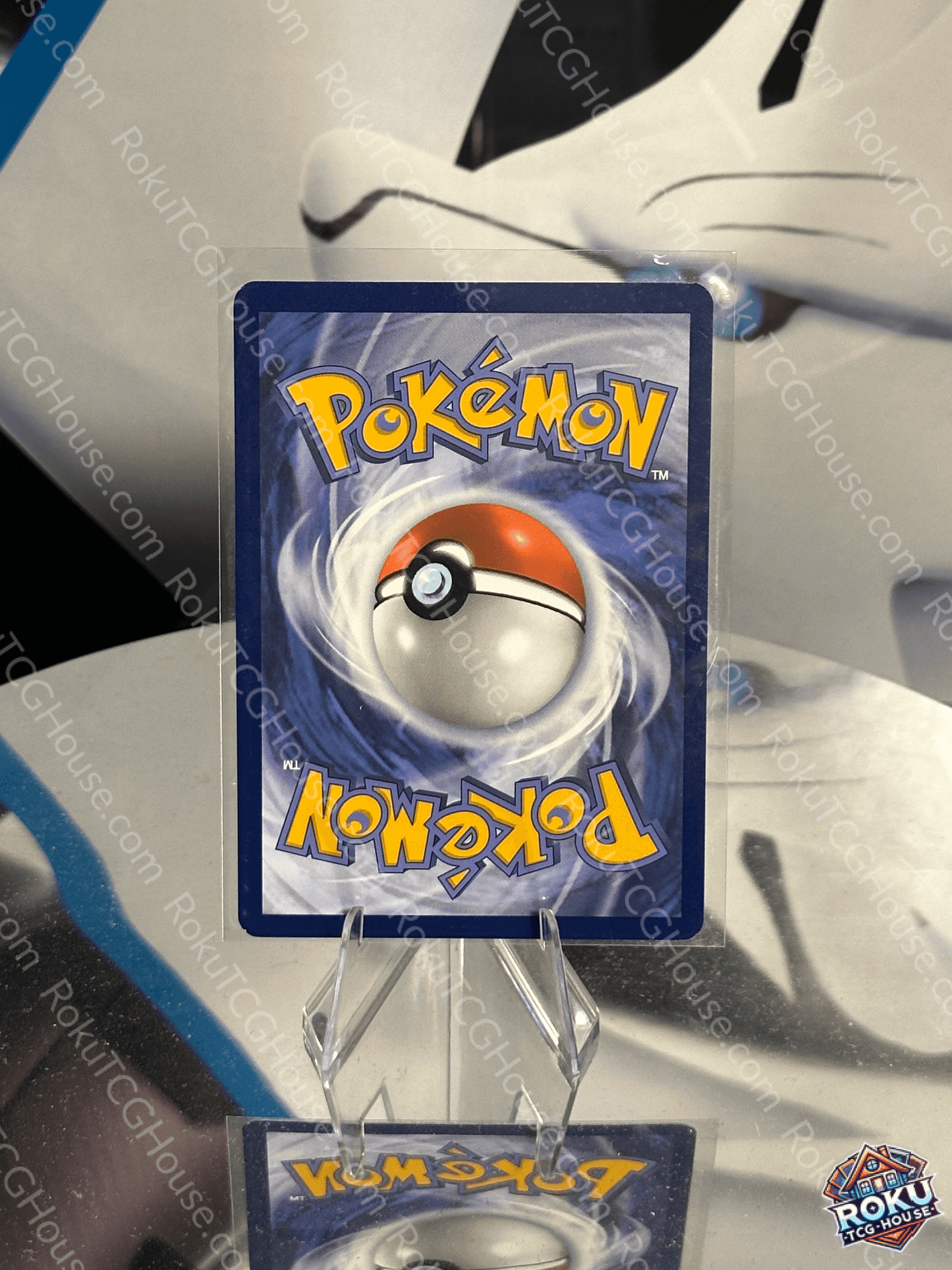 Feraligatr - SV: Promo - Pokemon Card (NM)