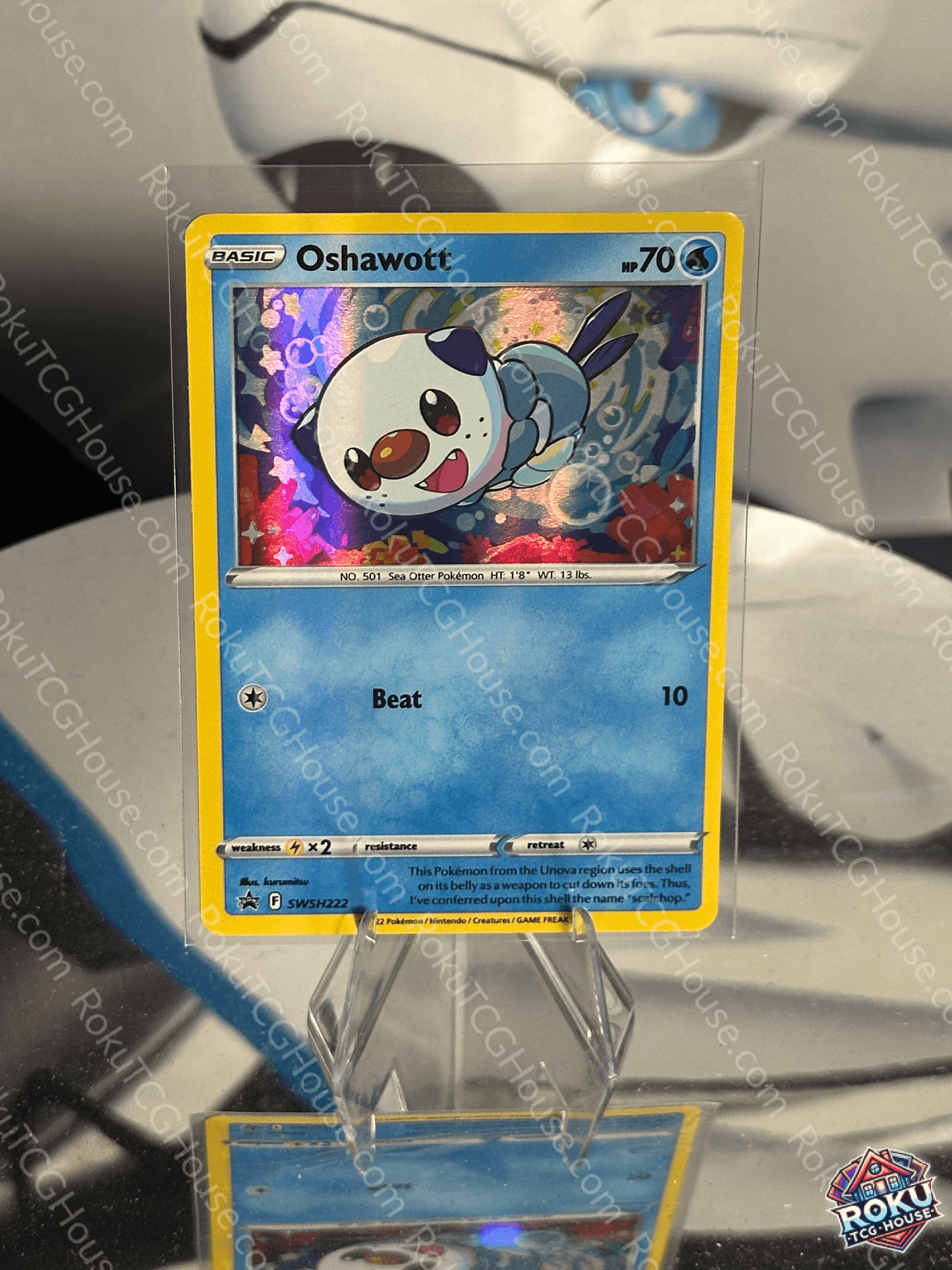 Oshawott - SWSH: Promo - Pokemon Card (NM)