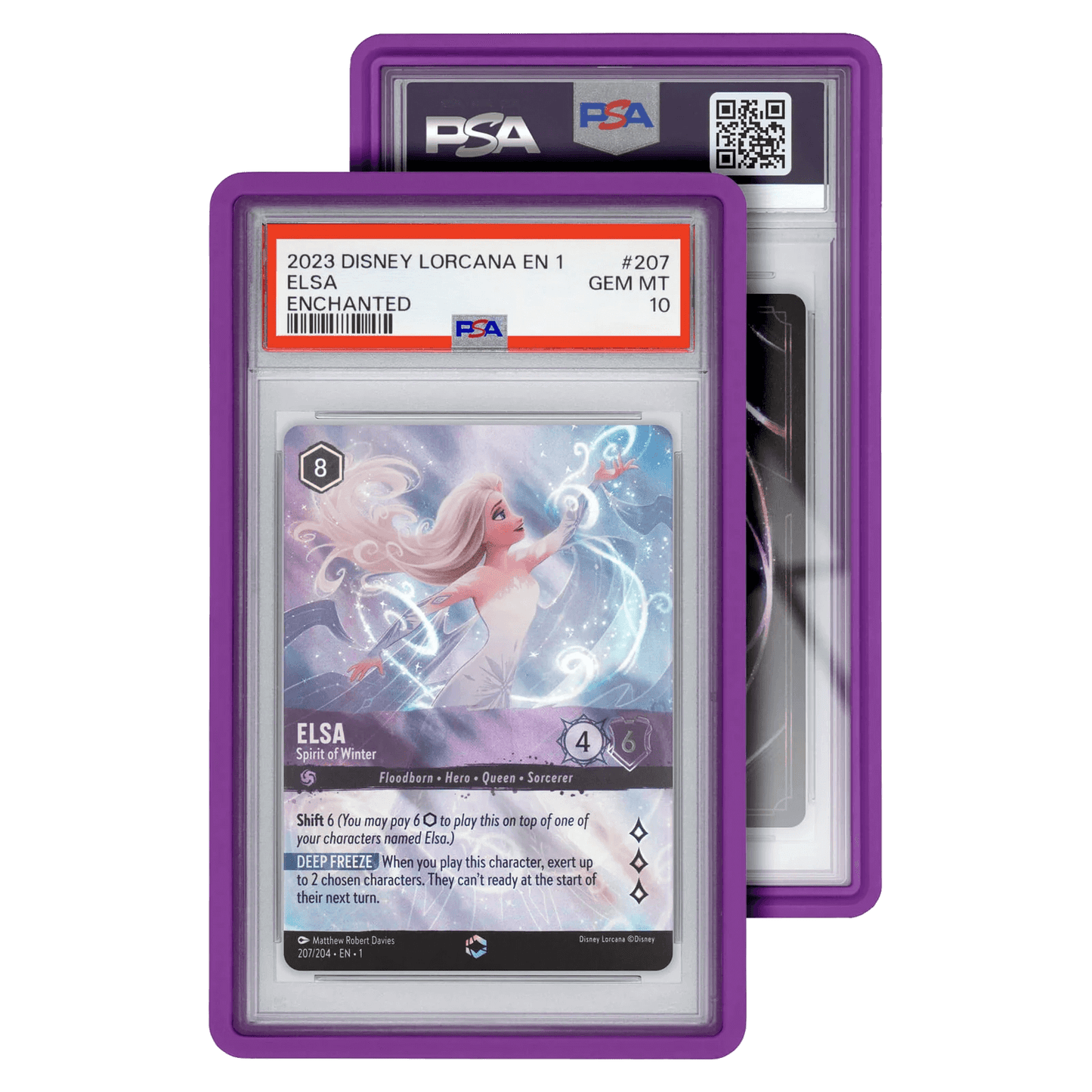 Standard Graded Guard Case (PSA)