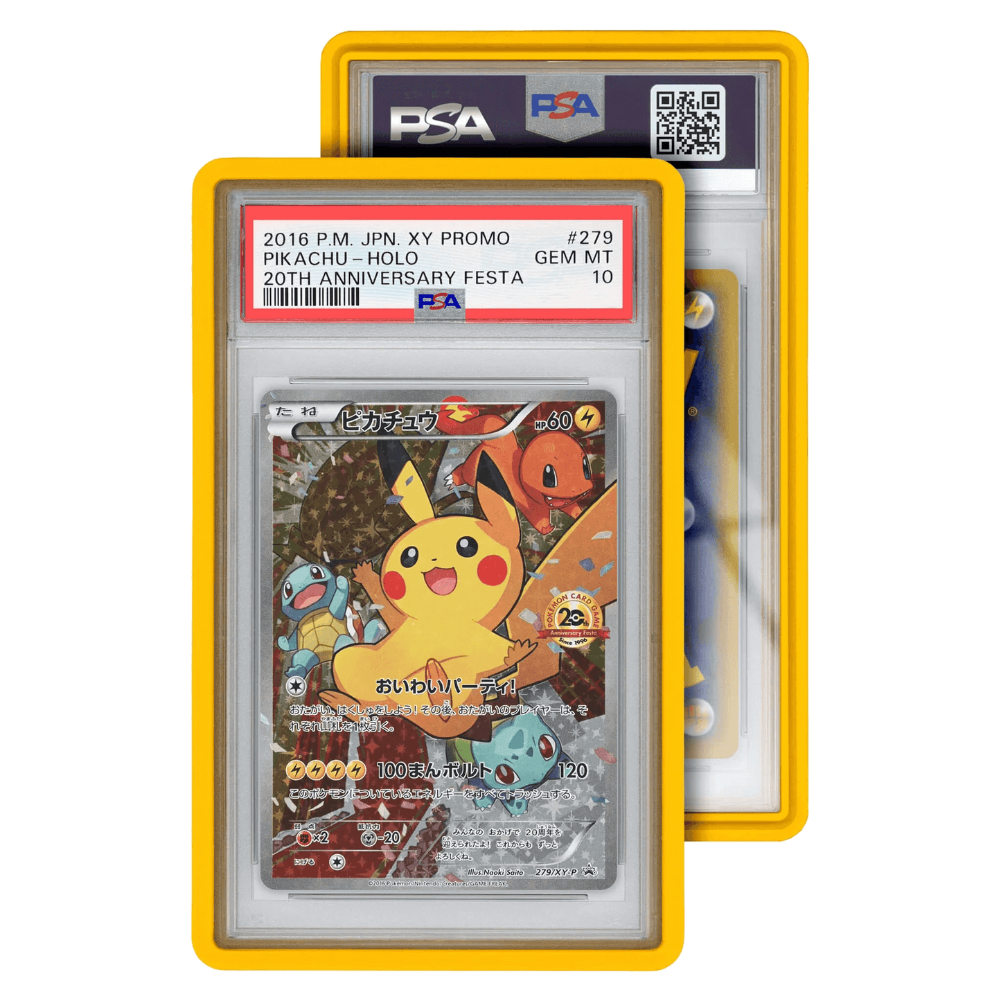 Standard Graded Guard Case (PSA)