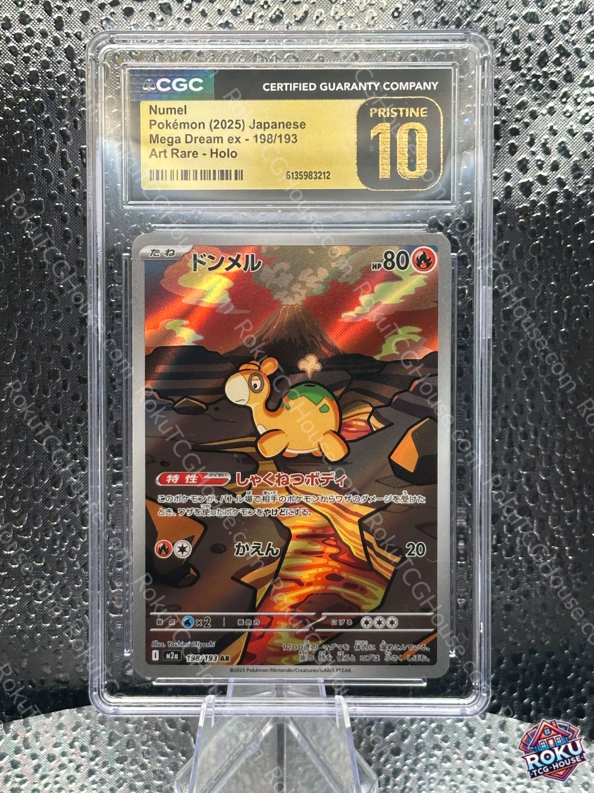 Numel (JP) - Mega Dream ex