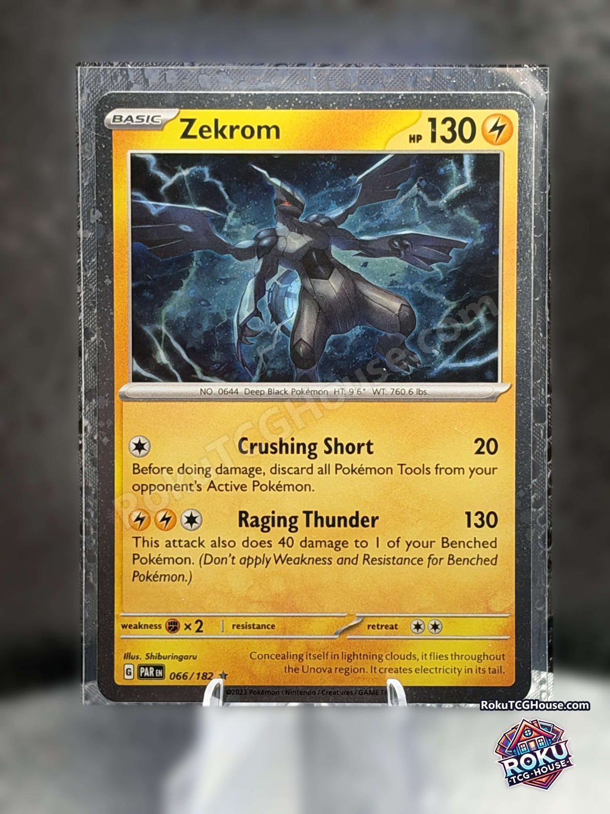 zekrom front
